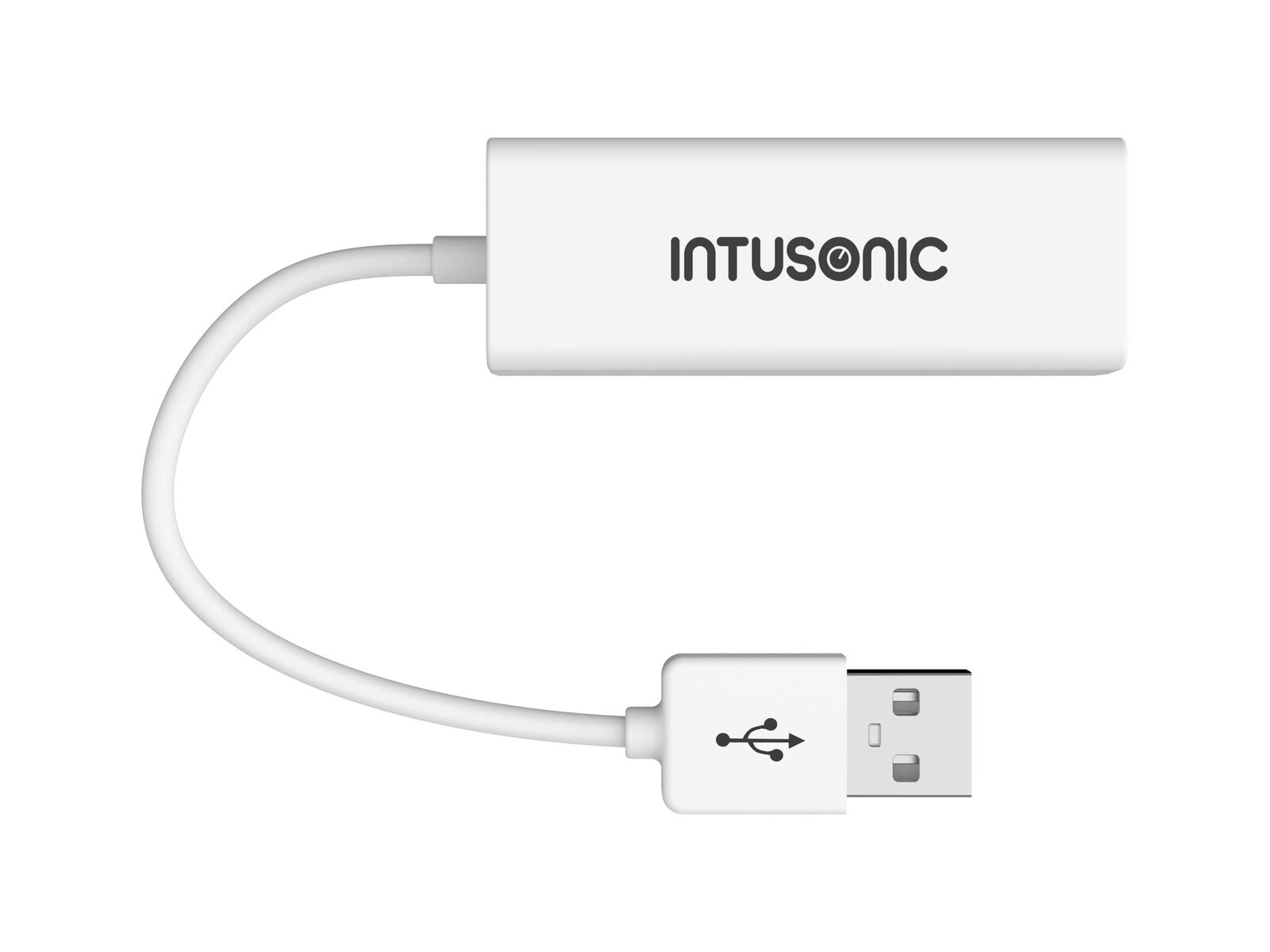 INTUSONIC DIU485 USB Interface - Image 2