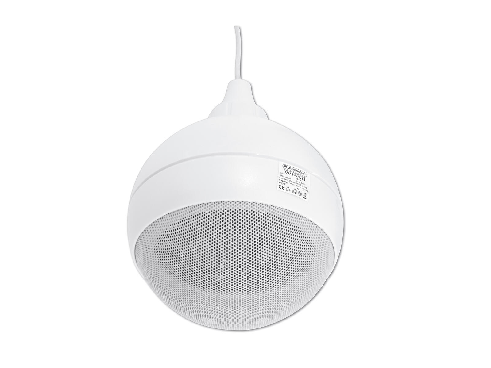 OMNITRONIC WP-5H Ceiling Speaker - Image 3