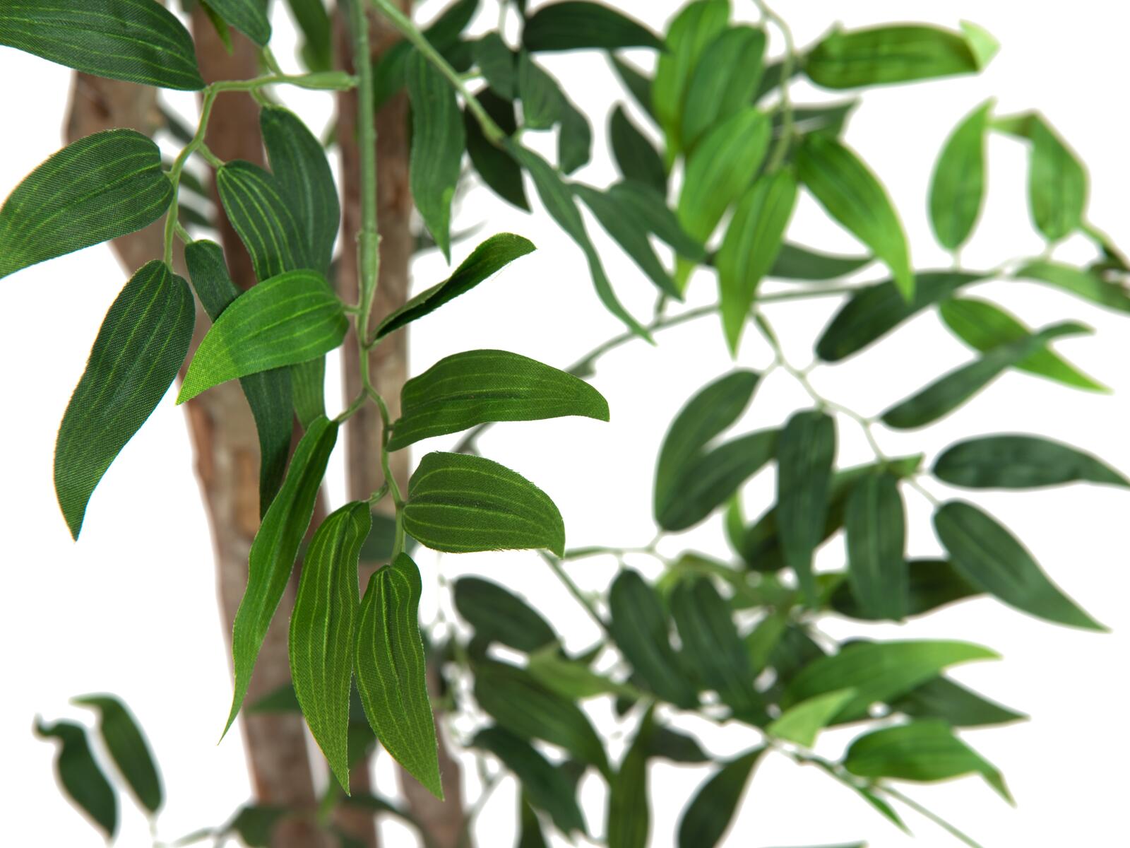 EUROPALMS Ficus longifolia, artificial plant, 165cm - Image 2