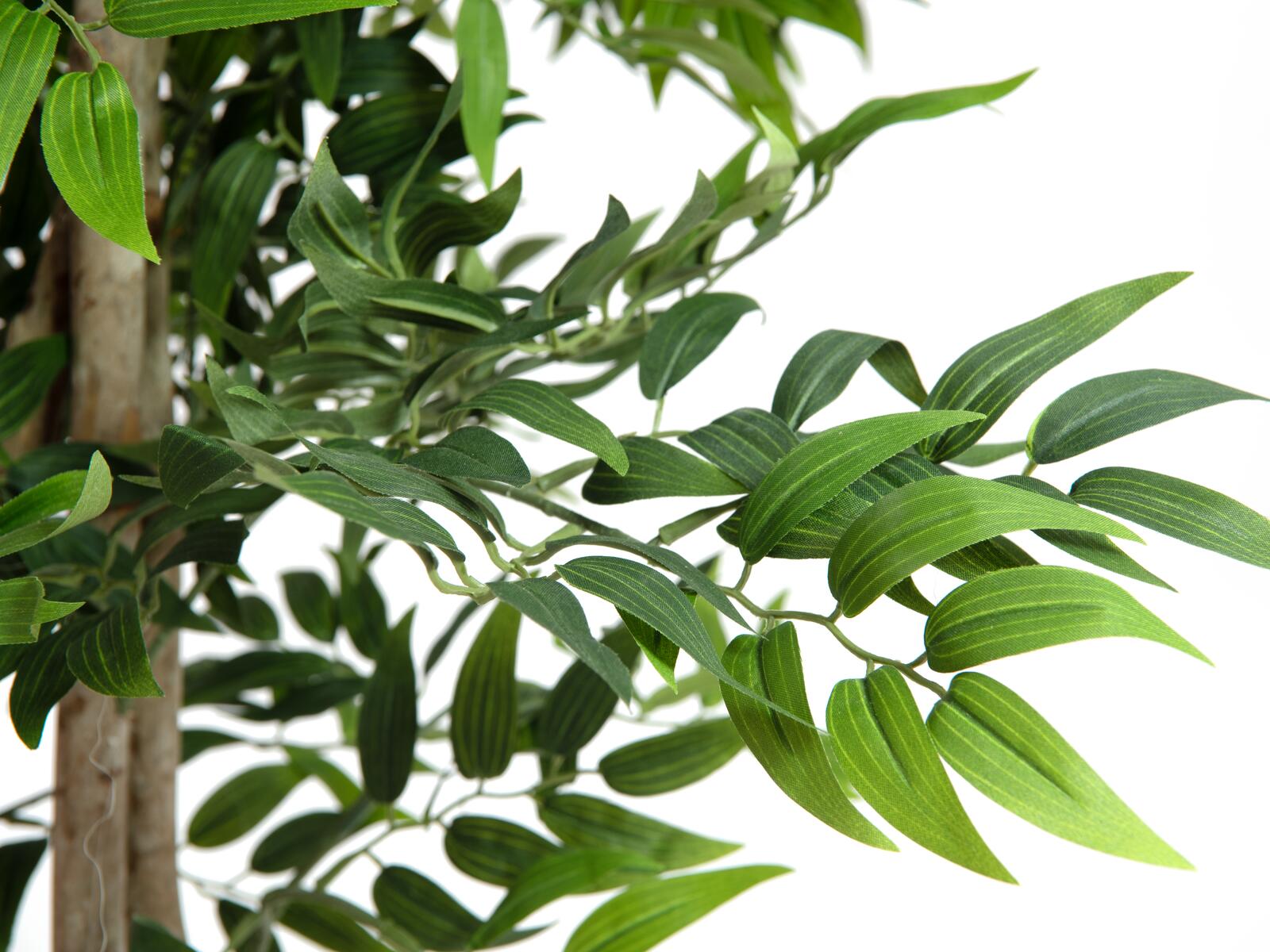 EUROPALMS Ficus longifolia, artificial plant, 165cm - Image 3