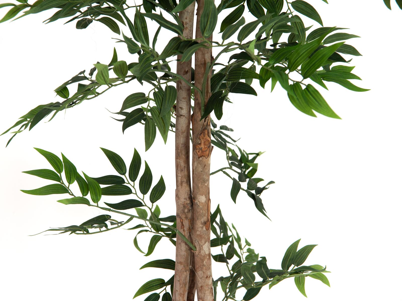 EUROPALMS Ficus longifolia, artificial plant, 165cm - Image 4