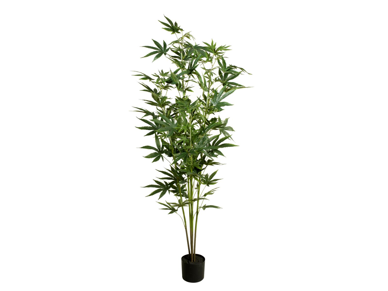 EUROPALMS Cannabis-plant, artificial plant, 150cm