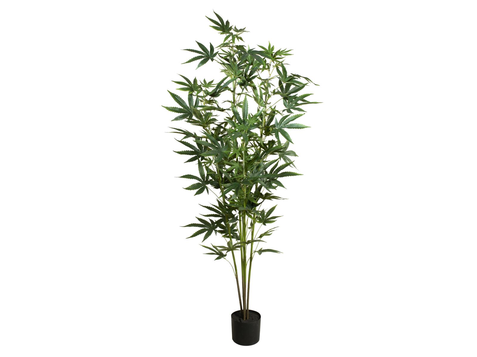 EUROPALMS Cannabis-plant, artificial plant, 150cm - Image 2