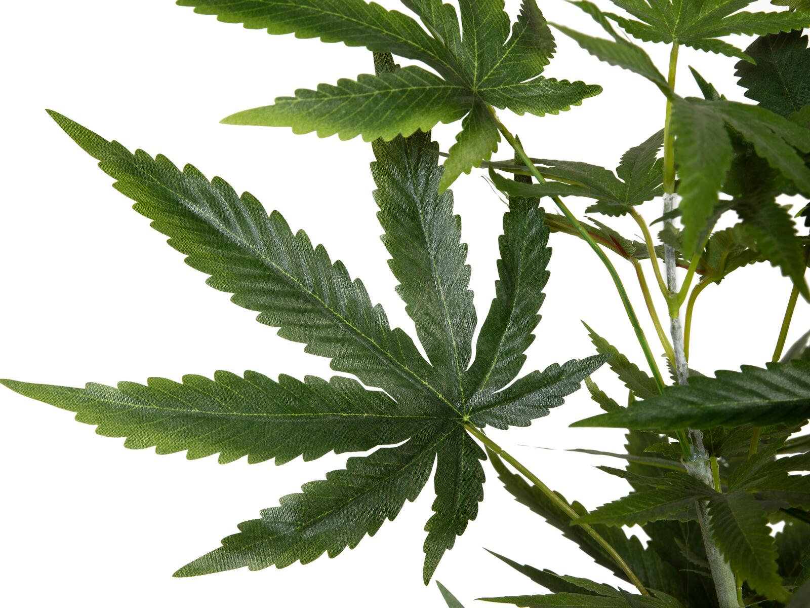 EUROPALMS Cannabis-plant, artificial plant, 150cm - Image 3