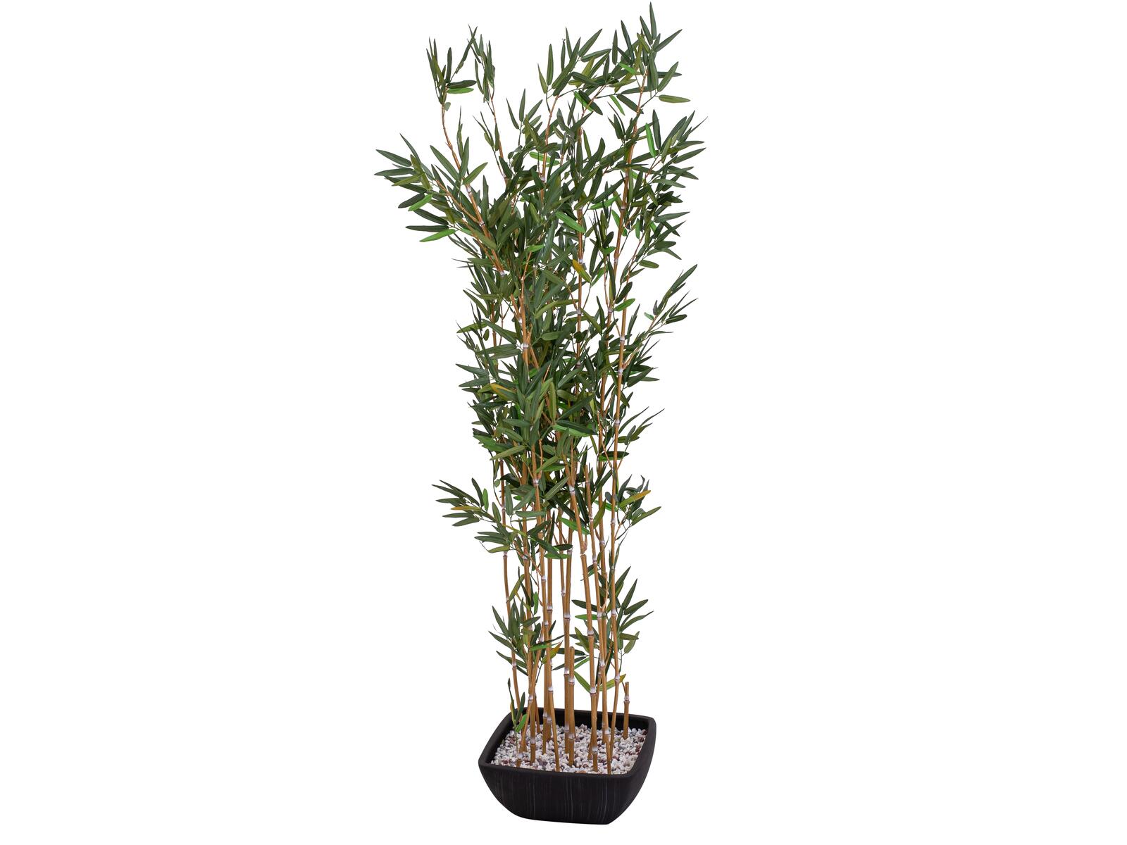 EUROPALMS Bamboo in bowl, artificial, 150cm - Image 3