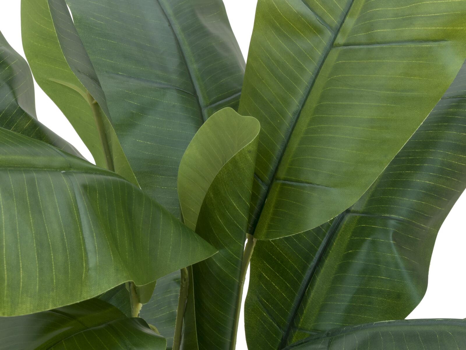 EUROPALMS Banana Tree, artificial plant, 120cm - Image 3