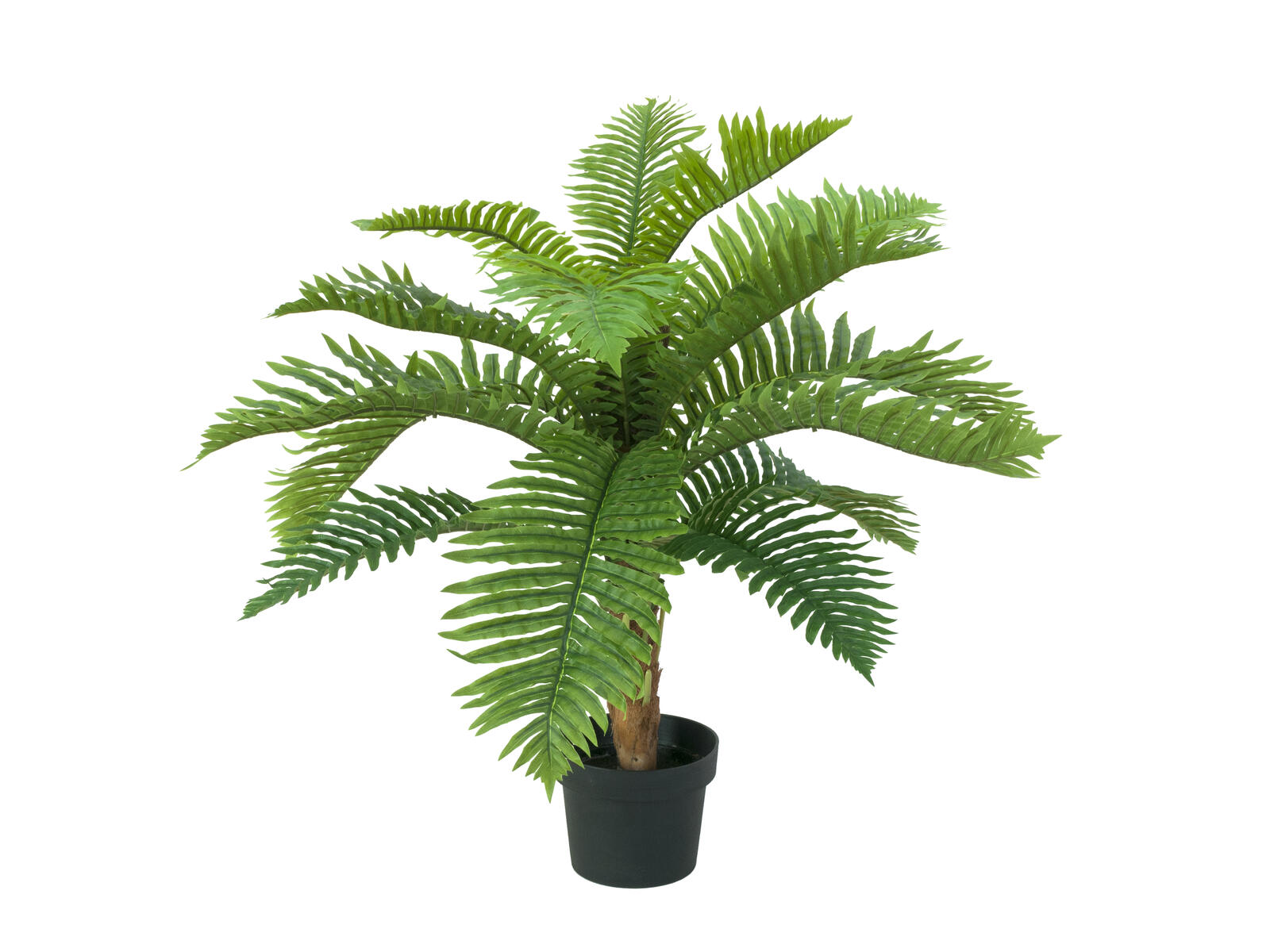 EUROPALMS Cycas Palm Tree, artificial plant, 70cm