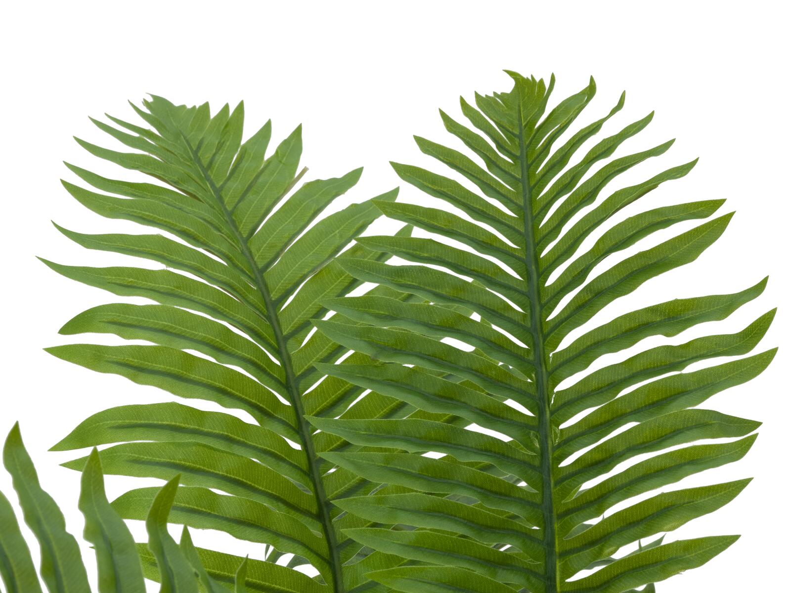 EUROPALMS Cycas Palm Tree, artificial plant, 70cm - Image 2