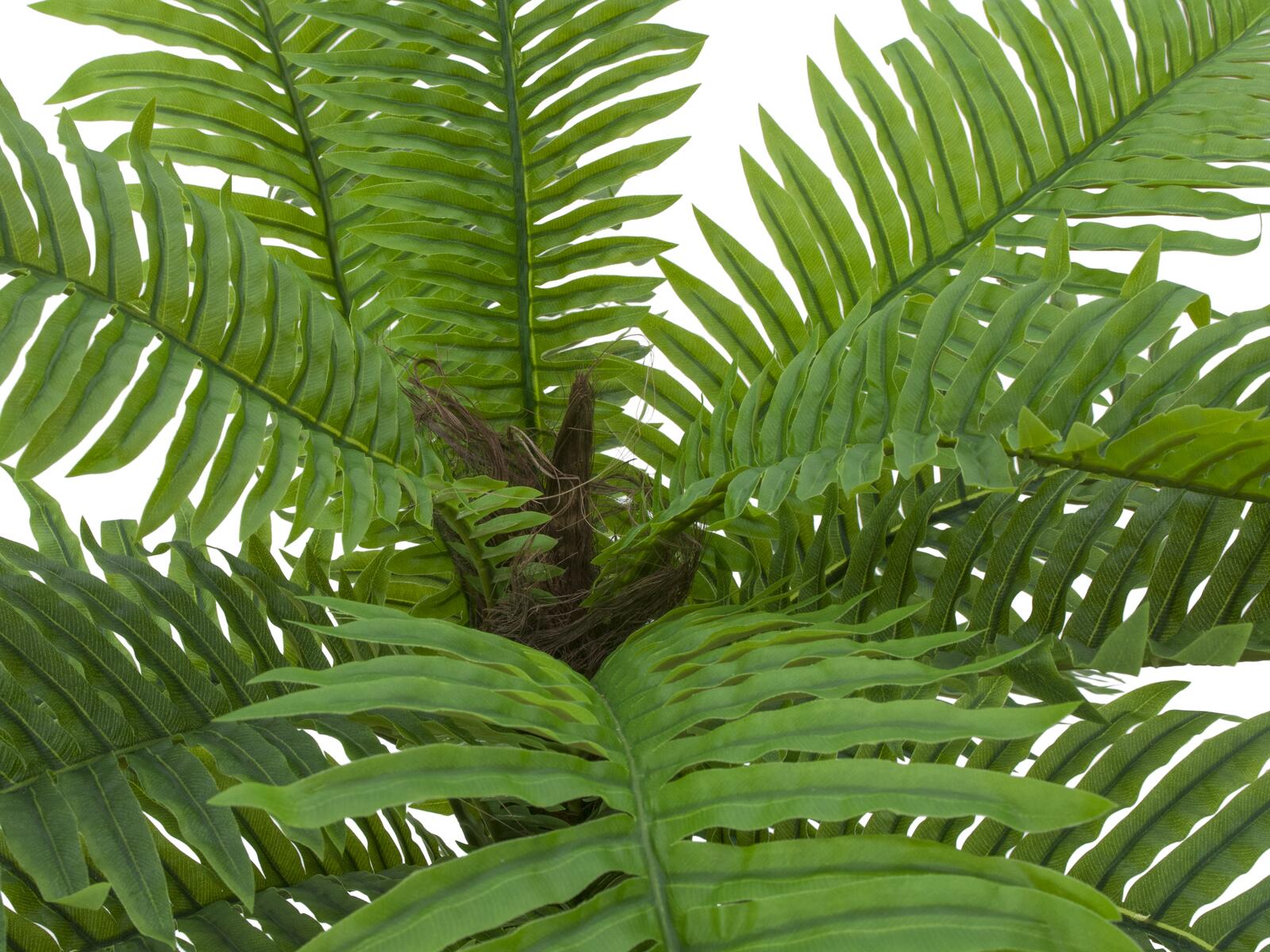 EUROPALMS Cycas Palm Tree, artificial plant, 70cm - Image 3