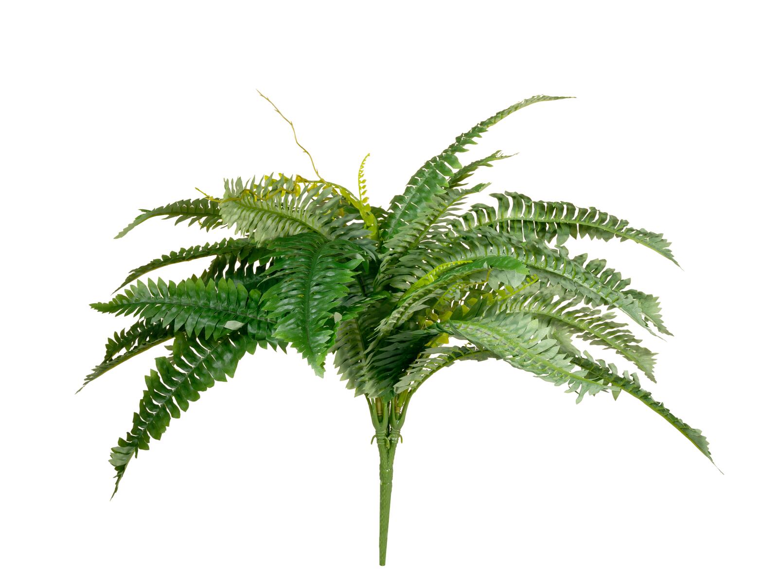EUROPALMS Boston Fern, artificial plant,53cm - Image 2