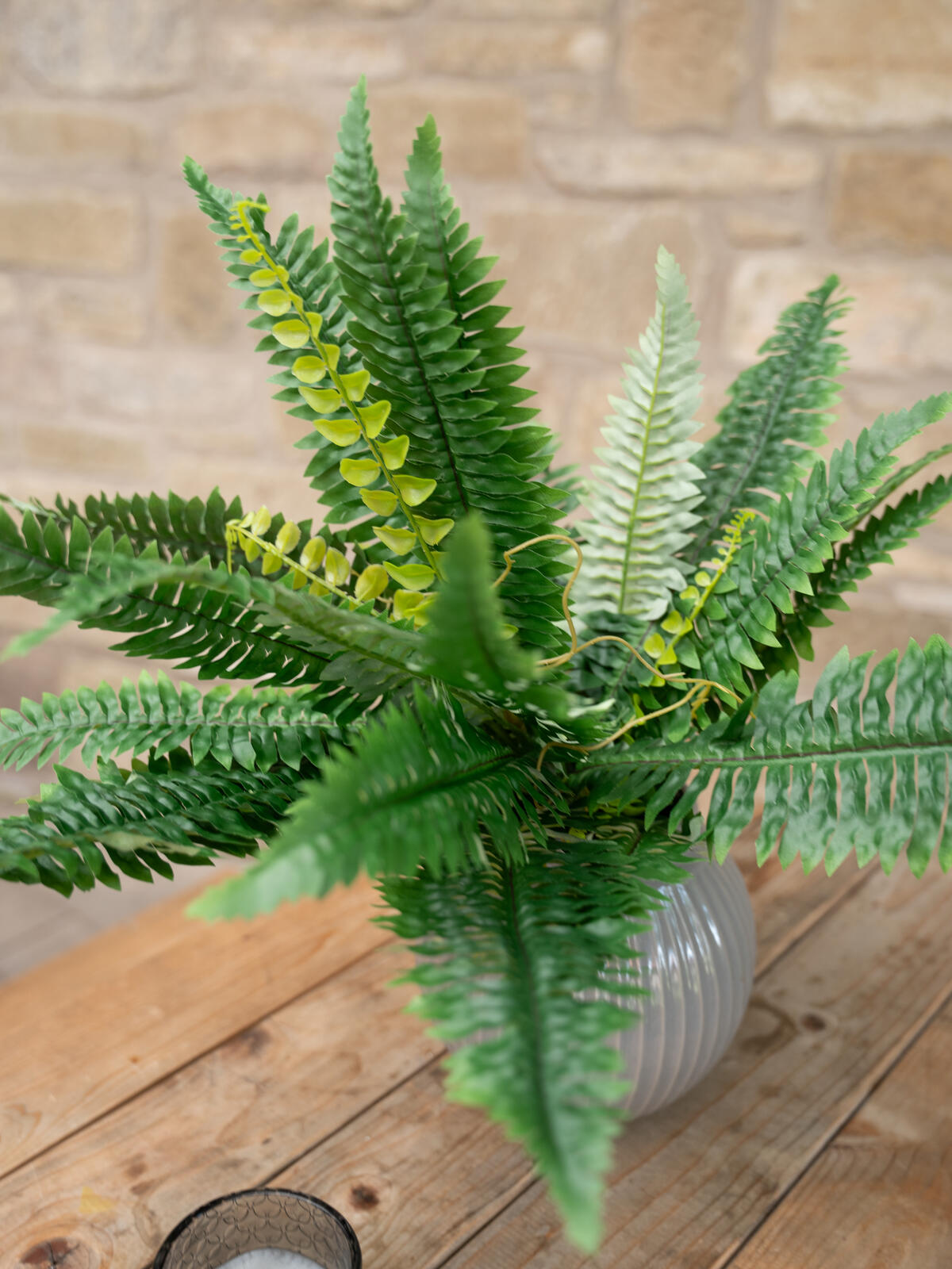 EUROPALMS Boston Fern, artificial plant,53cm - Image 5