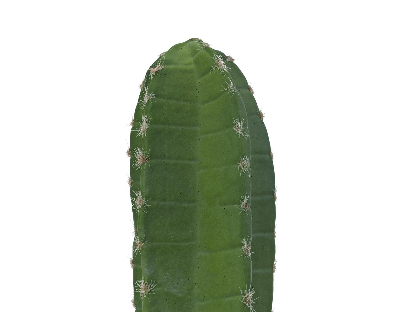 EUROPALMS Mexican Cactus, artificial plant, green, 97cm - Image 3