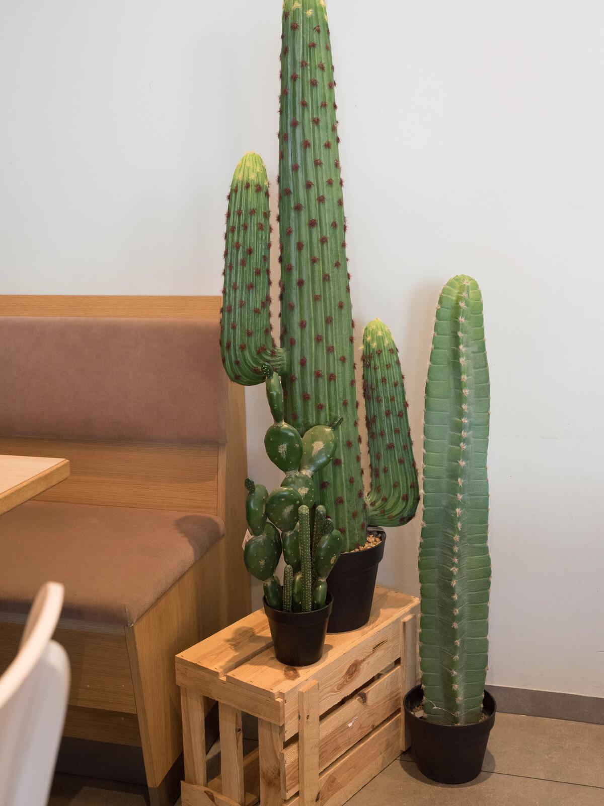 EUROPALMS Mexican Cactus, artificial plant, green, 97cm - Image 4