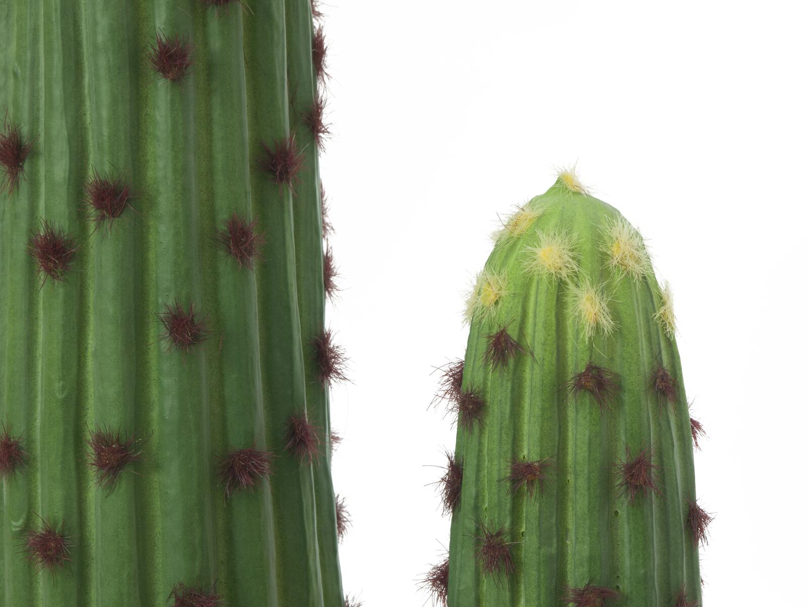 EUROPALMS Mexican Cactus, artificial plant, green, 117cm - Image 3