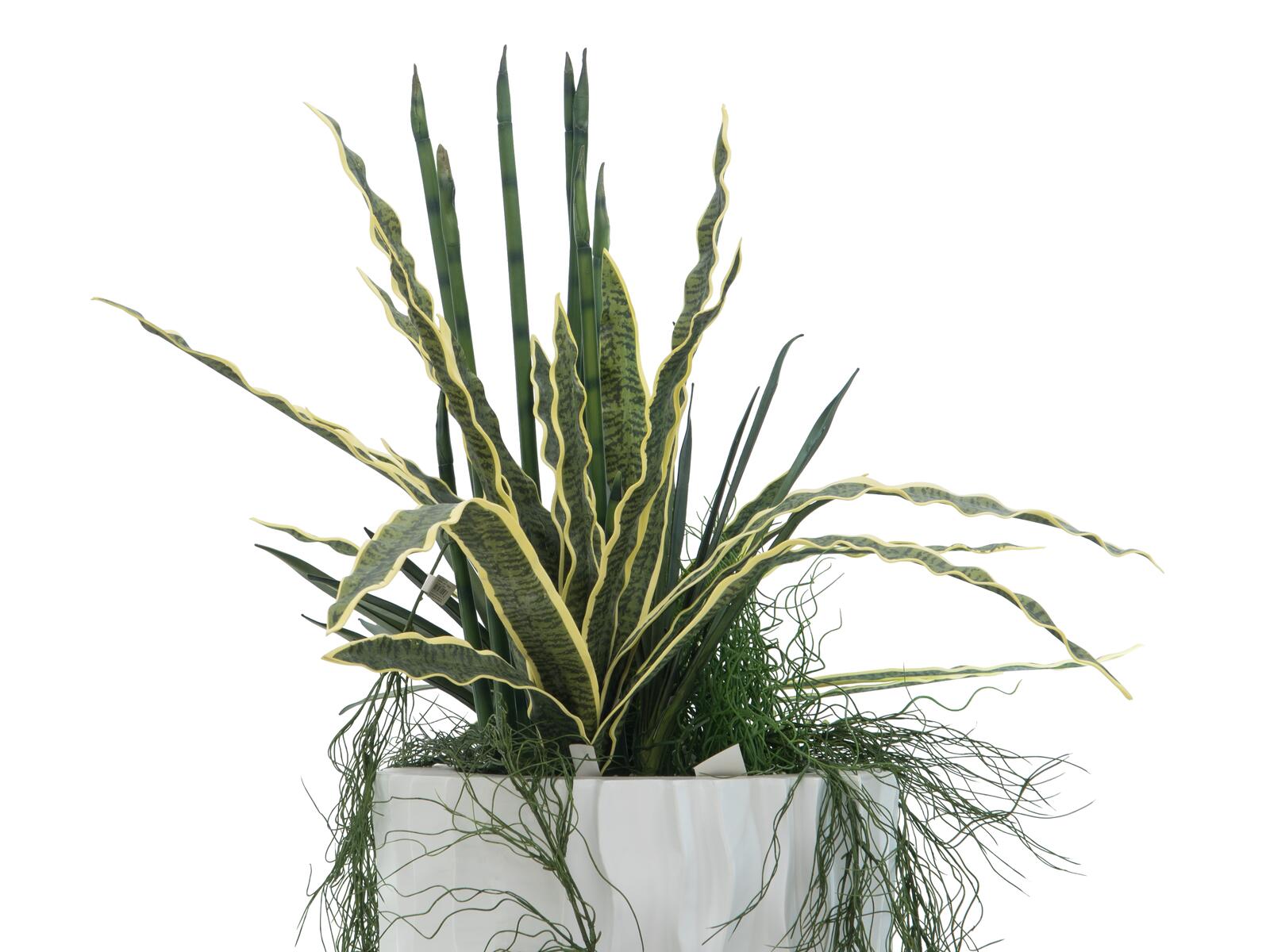 EUROPALMS Design pot LAMELLA-140, white - Image 5