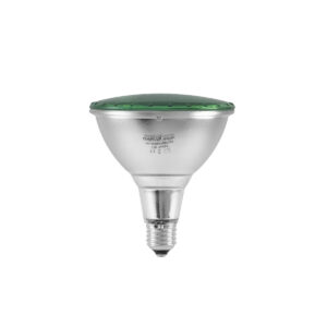 OMNILUX PAR-38 230V SMD 15W E-27 LED green