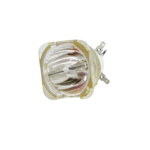 USHIO NSL 421 Reflector Discharge Lamp