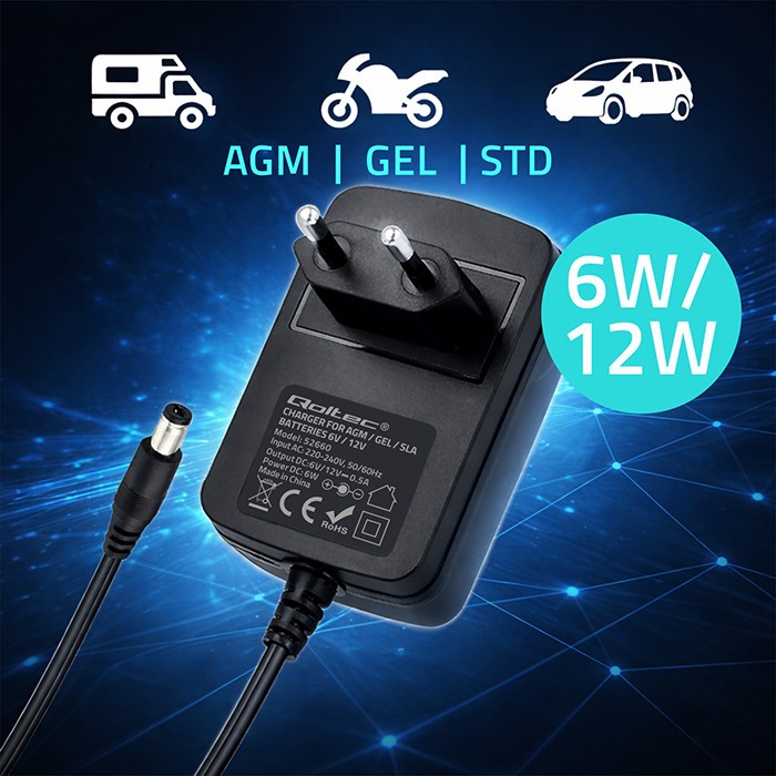 Charger for AGM GEL STD 6V 12V 6W 5.5x2.1 - Image 2