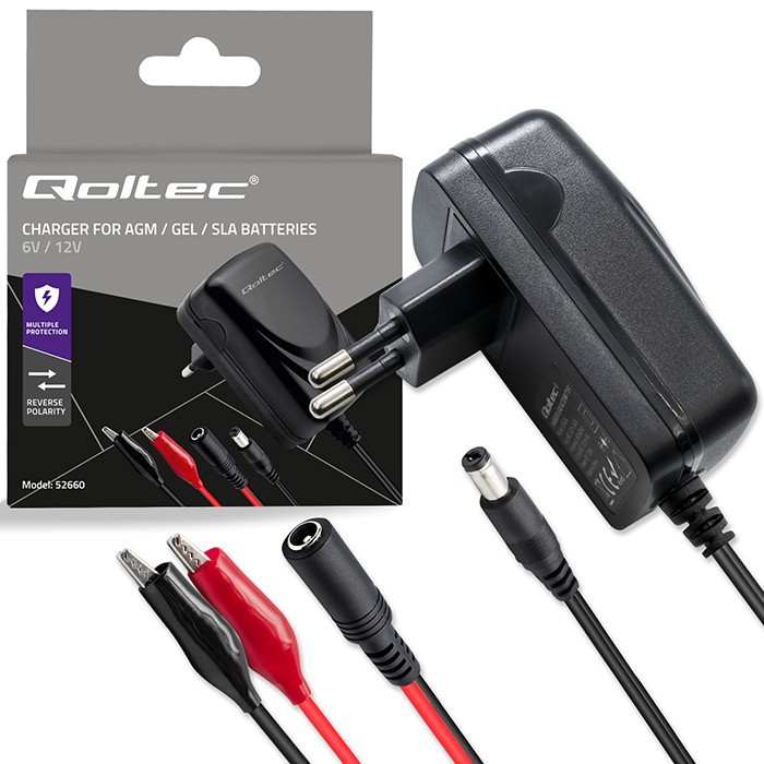 Charger for AGM GEL STD 6V 12V 6W 5.5x2.1 - Image 5