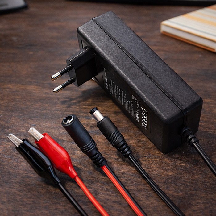 Charger for AGM GEL STD 12V 2A 24W 5.5x2.1 - Image 4